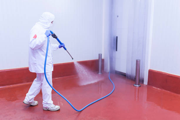 Best Rust Removal  in Glendive, MT